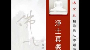 淨土真義 第六集 (華語)